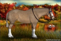 Horse Color:White Spotted Chocolate Palomino 