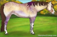 Horse Color:Red Dun Ice Onyx 