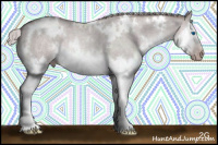 Horse Color:Gray Platinum White Spotted Silver Classic Champagne Roan Dun Splash 