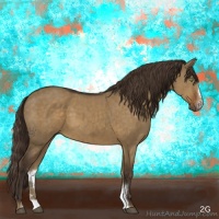 Horse Color:Liver Red Dun Sabino Brindle 