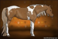 Horse Color:Chocolate Palomino Tobiano