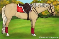 Horse Color:Palomino Dun 