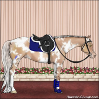 Horse Color:White Spotted Silver Sable Champagne 