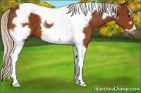 Horse Color:Silver Bay Tobiano Frame