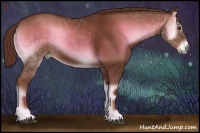 Horse Color:Red Onyx 
