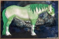 Horse Color:Watercolor Bay Onyx 