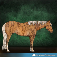 Horse Color:Silver Brown Tobiano Rabicano  and Palomino Sabino Rabicano 