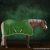 Horse Color:Silver Brown Rabicano