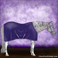Horse Color:Watercolor Classic Cream Champagne Ice Dun Tobiano Varnish Rabicano