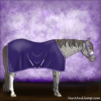 Horse Color:Classic Cream Champagne Ice Roan 