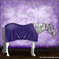 Horse Color:Classic Cream Champagne Chinchilla Ice Mushroom Tobiano 
