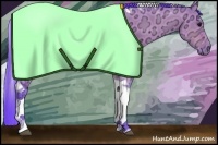 Horse Color:Watercolor Bay Ice Dun Tobiano 