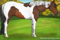 Horse Color:Bay Tobiano