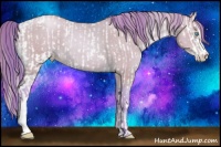 Horse Color:Nacre White Spotted Buckskin Pearl  and Watercolor Buckskin Pearl 
