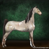 Horse Color:White Spotted Liver Red Dun Roan 