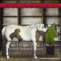 Horse Color:Smoky Blue Roan Tobiano 