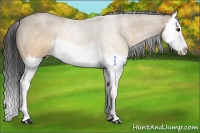 Horse Color:Brown Roan Dun Splash Rabicano Brindle 