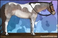 Horse Color:Liver Red Roan Tobiano 