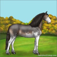 Horse Color:White Spotted Liver Red Roan 