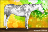Horse Color:Silver Brown Chinchilla Sabino 