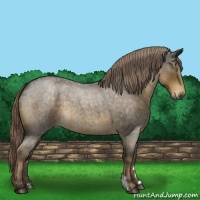 Horse Color:Chocolate Palomino Roan