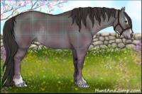 Horse Color:Plaid  Liver Red Dun Sabino Rabicano 