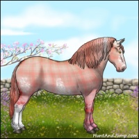 Horse Color:Plaid  White Spotted Chocolate Palomino Dun Rabicano 