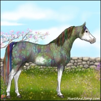 Horse Color:Painted Watercolor Grullo Sabino Splash  and Painted Nacre Grullo Sabino Splash Frame 