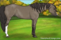 Horse Color:Smoky Grullo 