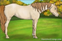 Horse Color:Smoky Blue Roan Pearl 