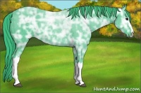 Horse Color:Watercolor Black Ice 
