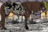 Horse Color:Liver Chestnut Sabino Near Leopard 