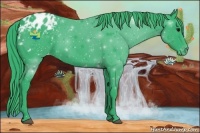 Horse Color:Watercolor Black Appaloosa 