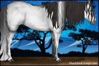 Horse Color:Brown Sabino Splash Frame Appaloosa 