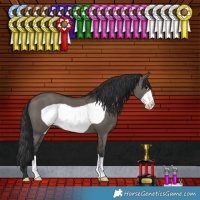 Horse Color:Grullo Frame