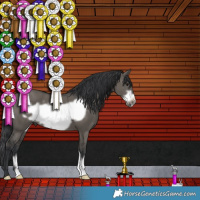 Horse Color:Grullo Frame 