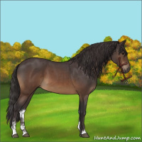 Horse Color:Buckskin Roan Sabino 