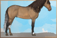Horse Color:Bay Roan Dun Varnish Brindle 