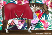 Horse Color:Liver Red Dun Appaloosa 