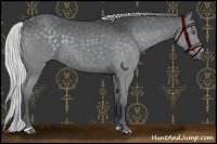 Horse Color:Silver Black Chinchilla Sabino