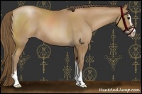 Horse Color:Black Pearl Sabino