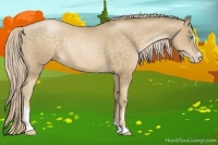 Horse Color:Chocolate Palomino Pearl Sabino Rabicano 