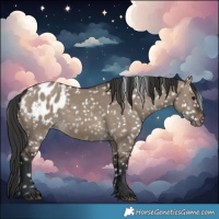 Horse Color:Brown Dun Blanket 