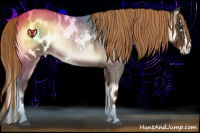 Horse Color:Liver Red Onyx Roan Splash Appaloosa Rabicano