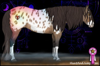 Horse Color:Bay Roan Dun Splash Frame Appaloosa Rabicano