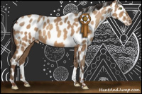 Horse Color:Sable Champagne Roan Leopard 