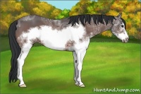 Horse Color:White Spotted Brown Ice Frame 