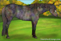 Horse Color:Gray Nacre Grullo Ice Rabicano