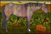 Horse Color:Gray Nacre Bay Dun Rabicano