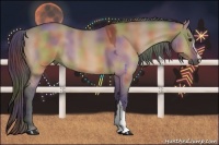 Horse Color:Nacre Bay Dun